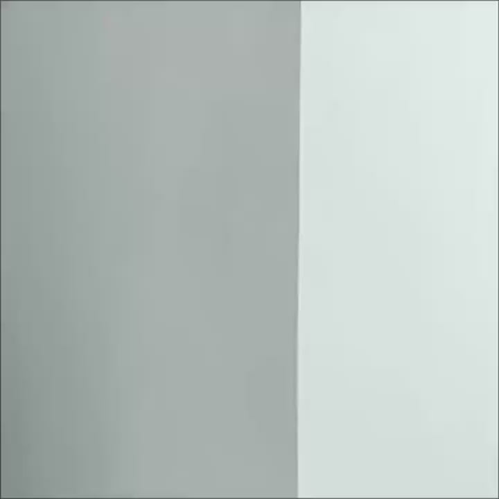 Wall Touch-Up Paint Roller – 500 g